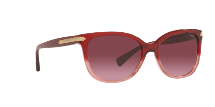 Coach HC8132 55518H L109 